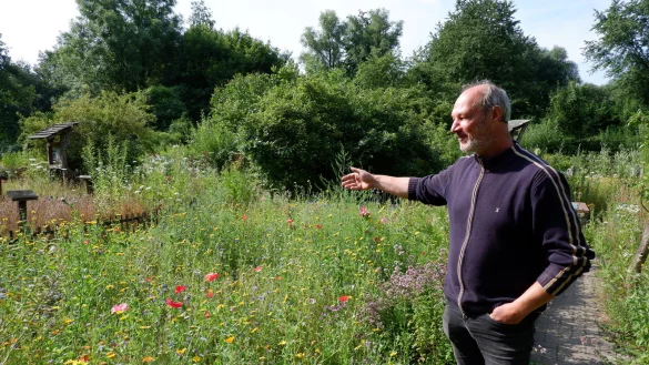 Blick ins Gr&uuml;ne: G&auml;rtner Andreas Beerens steht auf einer der Bl&uuml;hwiesen am Umweltzentrum Heerser M&uuml;hle. Er w&uuml;rde sich w&uuml;nschen, dass Insekten auch in privaten G&auml;rten Nahrung finden. Dort sei aber der Rasen oft viel zu kurz geschnitten. - &copy; Lorraine Brinkmann