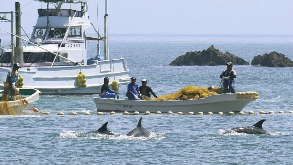 Walfang in Japan - &copy; Foto: kyodo