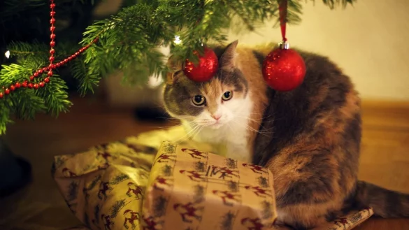 Sch&ouml;ne Spielerei - &copy; Foto: Ina Fassbender/dpa-tmn