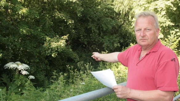 Ist sauer &uuml;ber den Zustand des Nordhagens: der B&ouml;singfelder Uwe Kr&uuml;ger. Hier zeigt er auf den wuchernden giftigen Riesen-B&auml;renklau. Foto: Sylvia Frevert - &copy; Sylvia Frevert