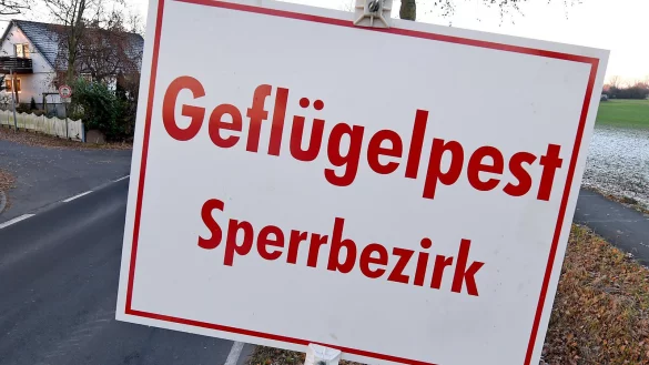 Rund um das Steinhorster Becken wurde ein Sperrbezirk eingerichtet. - &copy; dpa (Symbolbild)