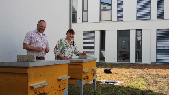 Andreas Postert vom Imkerverein Lage und Margarete Wissmann auf dem gr&uuml;nen Flachdach des Rathauses. Dort haben es sich die Bienen in zwei Trogbeuten gut eingelebt. - &copy; Katrin Kantelberg