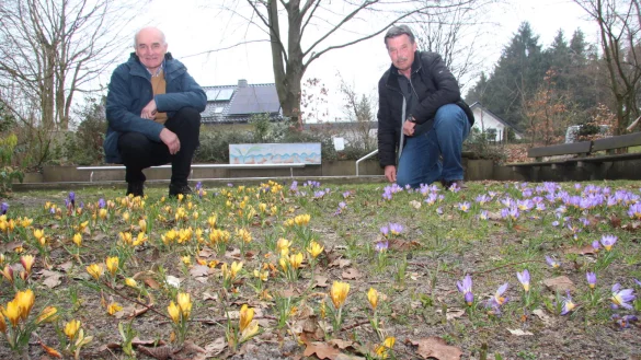 Wilhelm Wortberg (links) und Gebhard Roesler zeigen das Bl&uuml;tenmeer mit Krokussen am Tretbecken.&nbsp;


 - &copy; Cordula Gr&ouml;ne(LZ)