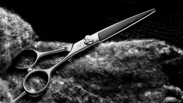 Die junge Friseurin Katharina W.* verschwindet 1961 spurlos. Zuletzt wird sie gesehen, als sie in Paderborn in das Auto eines Fremden einsteigt. - &copy; Pixabay