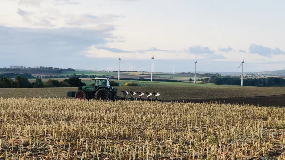 Jetzt sind die Maisfelder in Lippe fast &uuml;berall Geschichte, die Landwirte haben bereits mit dem Pfl&uuml;gen begonnen. - &copy; Silke Buhrmester