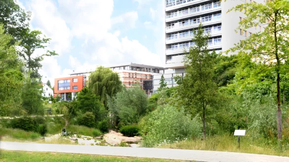 Zu einem attraktiven und zukunftsf&auml;higen Klima-Quartier will die CDU das Areal rund ums Klinikum umgestalten. - &copy; CDU