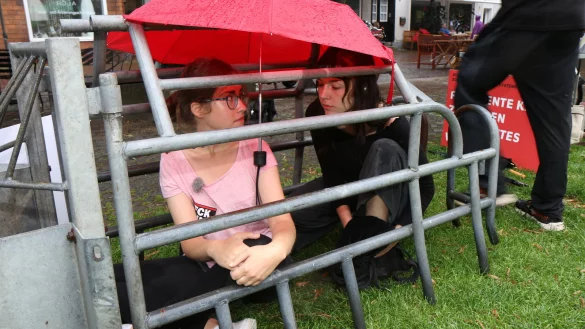 Viel zu eng: Katharina Friess (32) und Julia Strach (22) aus Rietberg haben sich f&uuml;r zehn Stunden in die Enge eines Ferkelschutzkastens begeben. Mit der Aktion am Samstag auf dem Dreiecksplatz fordern sie ein Ende der industriellen Tierzucht. - &copy; Robert Becker