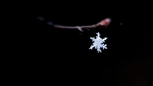 Schneekristall - &copy; Foto: Ralf Hirschberger/dpa-Zenmtralbild/dpa