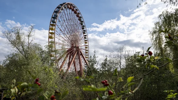Spreepark in the Pl&auml;nterwald - &copy; Foto: Fabian Sommer/dpa
