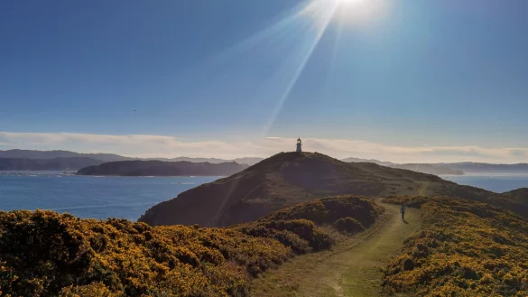 - &copy; Guo Lei/XinHua/dpa