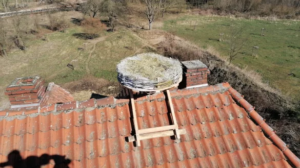 Auch f&uuml;r St&ouml;rche bietet das Artenschutzhaus k&uuml;nftig eine Bleibe auf dem Dach.&nbsp; - &copy; Christian H&ouml;ppner