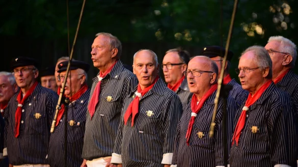 Beim Hafenfest in Bellenberg macht der Magellan Shanty Chor Paderborn eine gute Figur. - &copy; Nicole Ellerbrake