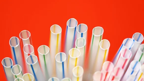 Strohhalme - &copy; Foto: Ralf Hirschberger