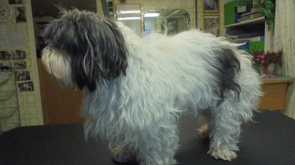 Finja vorher ... - &copy; Marion L&uuml;bbert