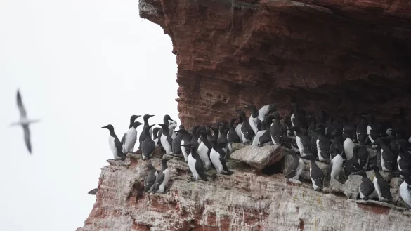 - &copy; Marcus Brandt/dpa