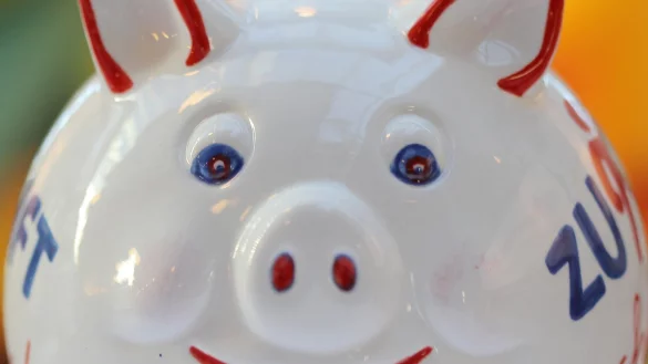 Sparschwein - &copy; Foto: Fredrik von Erichsen