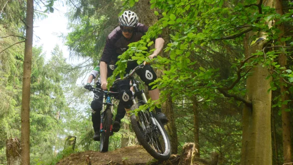 Manch einer nutzt in Lippe samt Drahtesel auch den Bus, um bequem einen Berg hinaufzukommen. Die offizielle Downhill-Strecke am Hermann wurde 2018 geschlossen. - &copy; Archivfoto: Andre Gallisch
