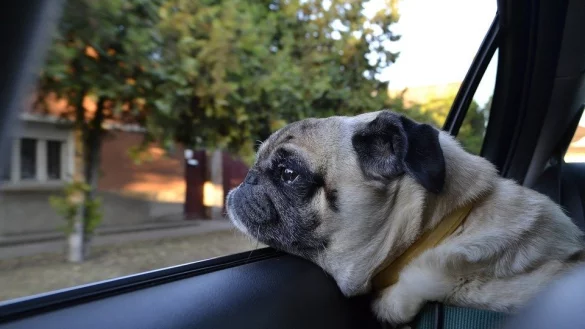 Symbolfoto - &copy; Symbolfoto: Pixabay