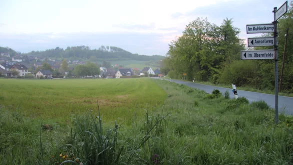 Auf diesem Grundstück in Westorf soll eine Neubausiedlung entstehen. Rechts ist die Talstraße zu sehen. - © Nadine Uphoff
