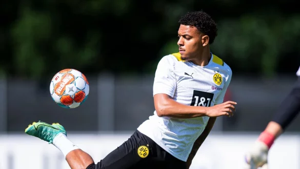 Donyell Malen - &copy; Foto: David Inderlied/dpa