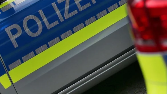 Ein betrunkener Autofahrer hat einen hohen Sachschaden verursacht. - &copy; Symbolbild dpa