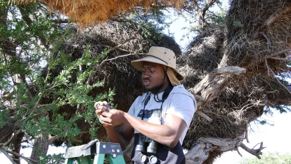 Klimawandel in der Kalahari - &copy; Foto: Kristin Palitza/dpa