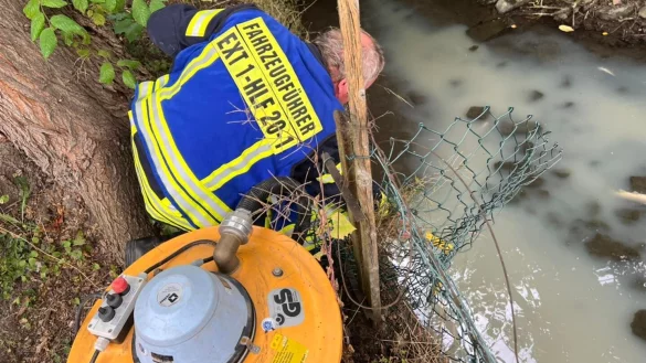Das Wasser dieses Baches wurde verunreinigt und rief die Extertaler Feuerwehr auf den Plan. Sie leitete die Verschmutzung in den Mischwasserkanal und spülte den Bach. - © Löschzug Bösingfeld