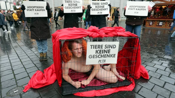 Rabea (v. l.), Anne, Anne-Sophie und Elisa unterst&uuml;tzen Jens Vogt (im K&auml;fig) beim Protest gegen das Leid der Tiere als Weihnachtsgeschenke. - &copy; Wolfgang Rudolf