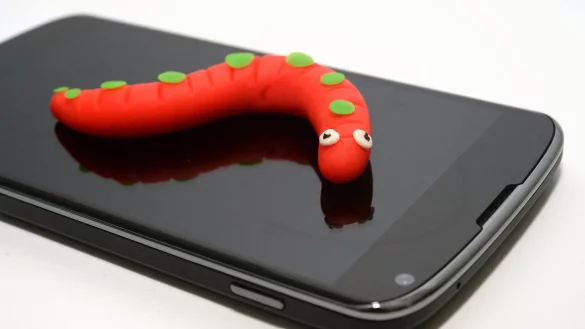 Wurm auf Handy - &copy; Foto: dpa