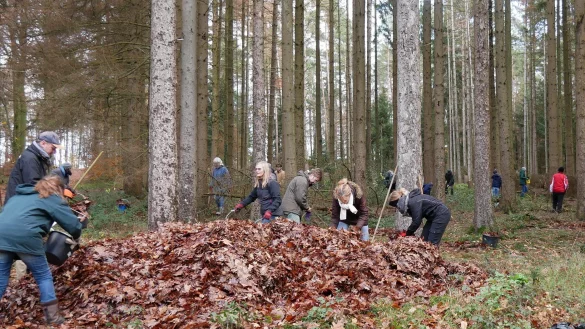 Das Foto zeigt den Umwelttag mit der Saataktion im Herbst 2019. - &copy; Stadt Lemgo