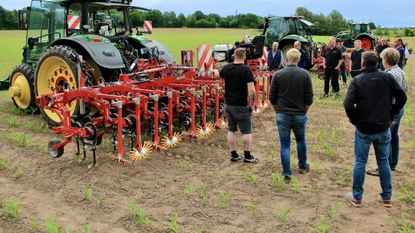 Beim Hack- und Striegeltag auf dem Biolandhof Uekermann fachsimpeln
Landwirte über die neueste Hacktechnik mit Kameralenksystem, welches die
Landmaschine absolut präzise über einen Verschieberahmen an den Kulturpflanzen
entlang führt und so vom Unkraut befreit. - © Heidi Stork