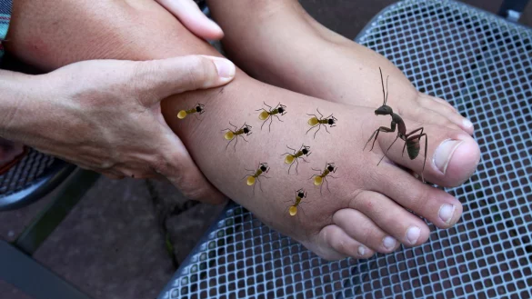 Wie Ameisen auf der Haut: Menschen, die an Polyneuropathie leiden, verspüren häufig ein Kribbeln oder auch Taubheitsgefühle in den Füßen oder den Händen. - © Bernhard Preuss