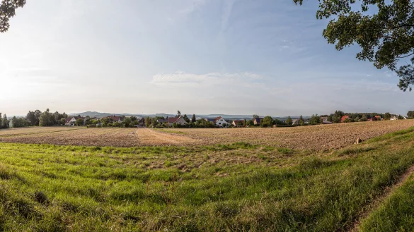 Die Wanderstrecke durch den Leistruper Wald bietet traumhafte Aussichten auf die Umgebung. - © Torben Gocke