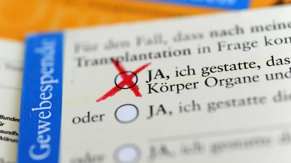 Nur bei 15,3 Prozent der möglichen Organspender war 2024 ein schriftlicher Wille vorhanden, obwohl ein Organspendeausweis, den man online bestellen kann, ausreicht. - © picture alliance/dpa