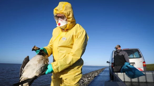 - &copy; Christian Charisius/Archiv/dpa