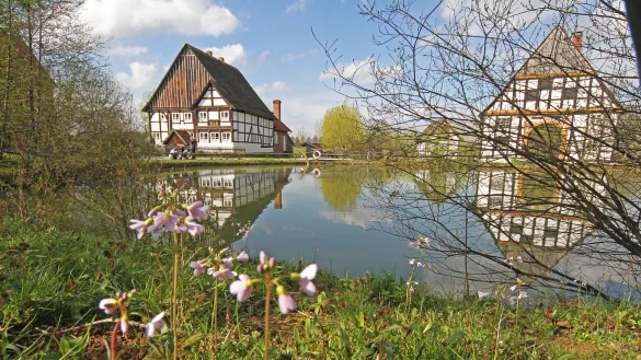 Das Paderborner Dorf im Freilichtmuseum Detmold


 - &copy; LWL/J&auml;hne