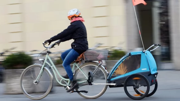 Radeln mit Kinderanh&auml;nger - &copy; Foto: Tobias Hase/dpa-tmn