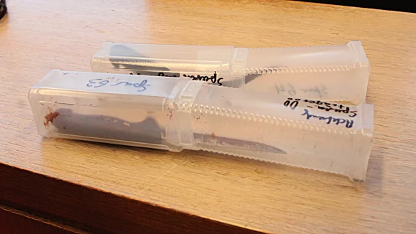 Vor Gericht sind auch die Tatwaffen als Beweismittel zugegen. - © Archivfoto: Vera Gerstendorf-Welle