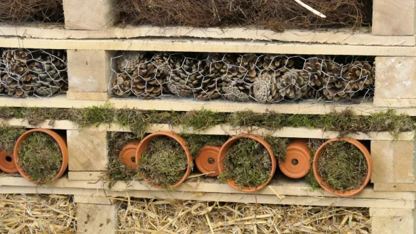 Insektenhotel selbst gemacht - &copy; Foto: Simone A. Mayer