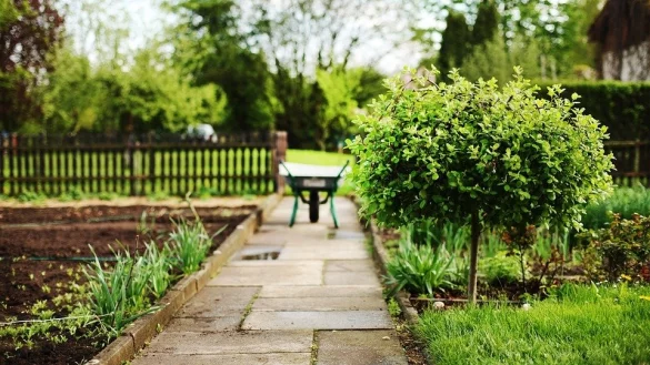 Grundreinigung: Betrüger machen derzeit in Lippe Kasse. Sie spritzen Steine ab und verlangen Wucherpreise dafür. - © Symbolfoto: pixabay