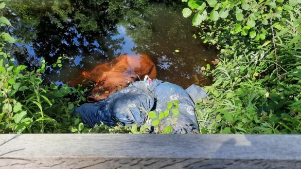 Diese M&uuml;lls&auml;cke hat F&ouml;rster Fritzemeier im Amphibienreich im Naturschutzgebiet Heimbachtal gefunden.
 - &copy; Landesverband Lippe