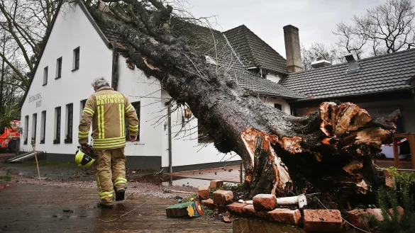 Entwurzelter Baum - &copy; Foto: David Young/dpa /dpa