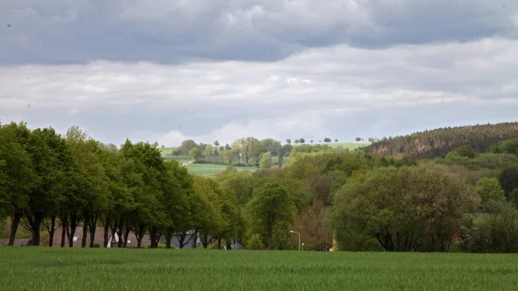Blick von Barntrup Richtung Norden. - &copy; Bernhard Preuss