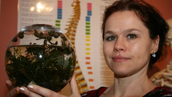 Helfer aus der Natur: Heilpraktikerin Christiane Wagner setzt seit Jahren auf die Blutegeltherapie. - &copy; Sandra Castrup