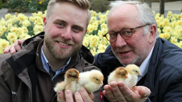 Die Chefs und ihre j&uuml;ngsten Mitarbeiter: Friedrich-Wilhelm Eckstein und sein Sohn Marc-Philip mit Brahma-, Haus- und Seidenhuhnk&uuml;ken. - &copy; Bernhard Preuss