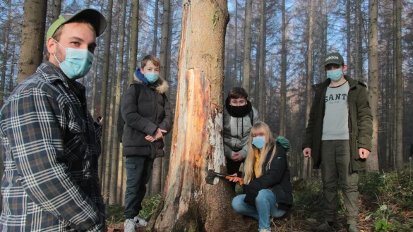 Eric Wunsch (von links) zeigt den Sch&uuml;ler, Elias, Tamay, Michelle und Marlon, wie es unter der Rinde der toten Fichten im Stadtwald aussieht. - &copy; Carolin Brokmann-F&ouml;rster