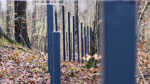 Zaunpf&auml;hle - &copy; Foto: Frank Molter/dpa