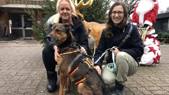Melanie Vogt (links) und die ehrenamtliche Helferin Eileen Kleemeier mit Hund Makani. Der Ridgeback-Sch&auml;ferhund-Mischling tr&auml;gt ein Sicherheitsgeschirr und eine zweite Leine. - &copy; Sven Kienscherf