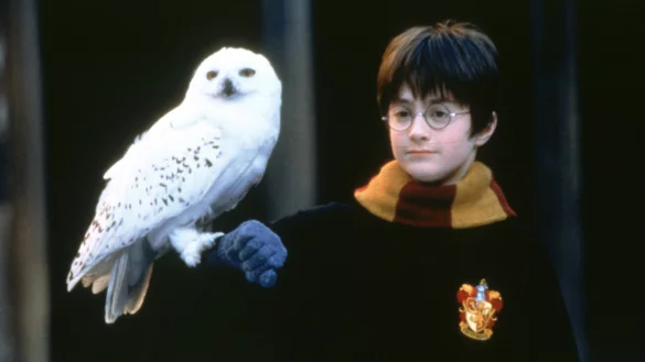 Harry Potter (Daniel Radcliffe) mit seiner Schneeeule Hedwig. - &copy; picture alliance/United Archives