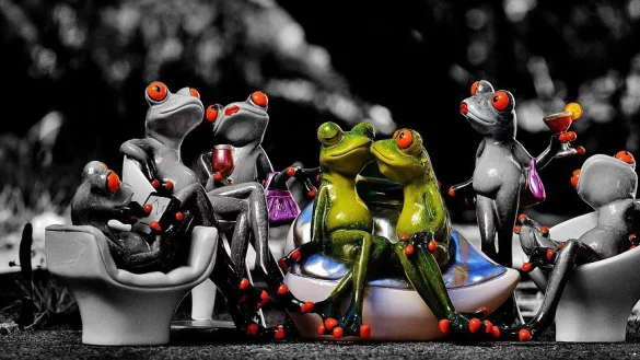 Wo kann man im besten Alter als Frau in Bielefeld noch neue Menschen kennenlernen? Wir suchen Tipps: bielefeld@nw.de - © Pixabay